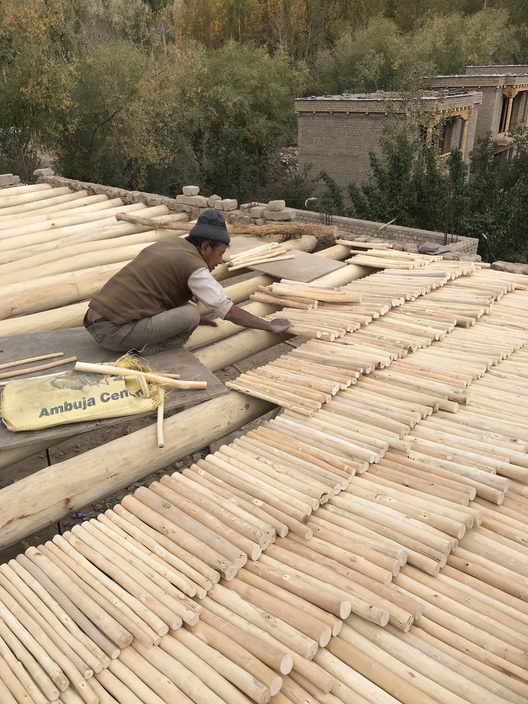 Traditional Ladakhi willow stick ceiling